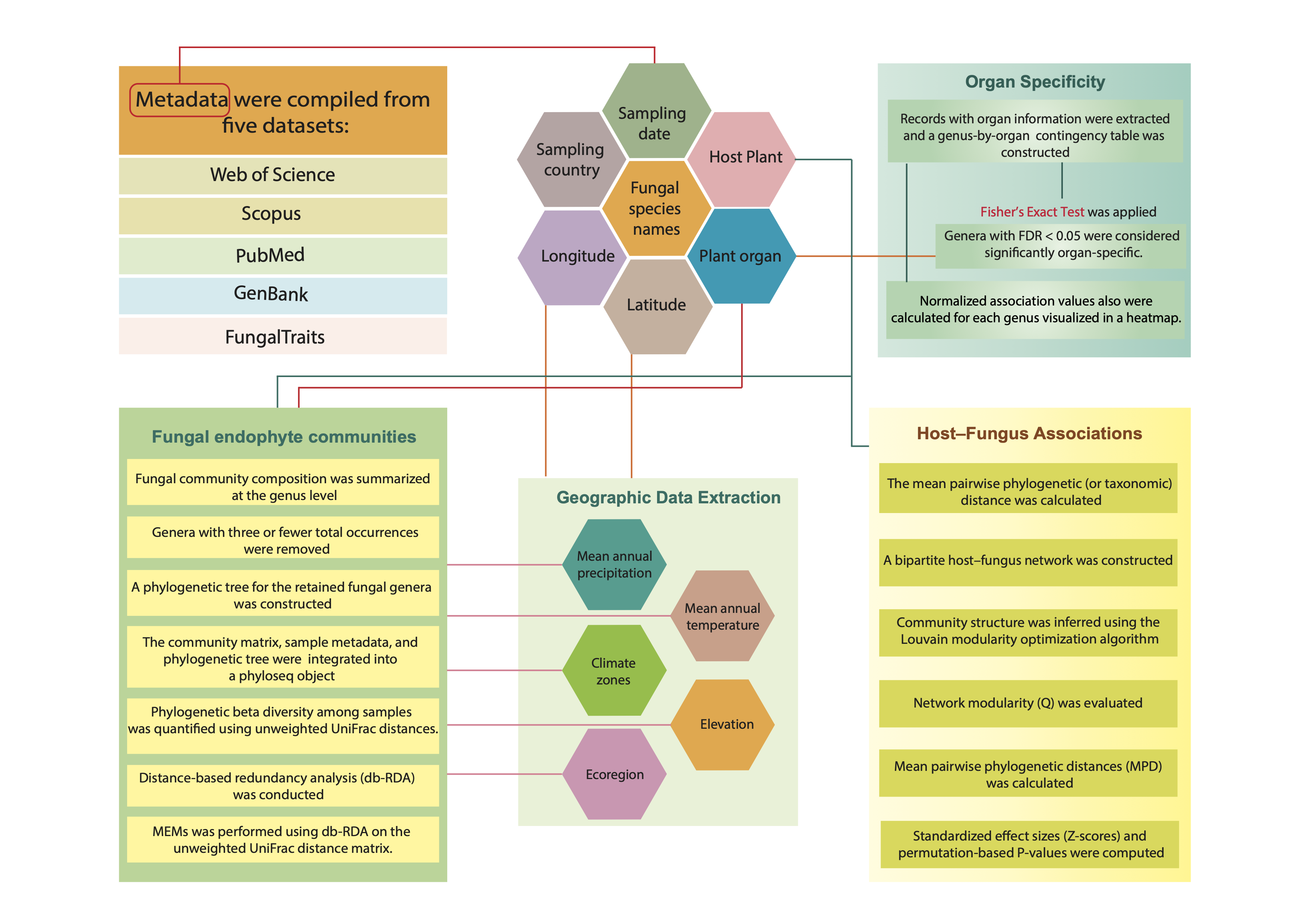 FunEndo: A Comprehensive Global-Scale Fungal Endophyte Repository